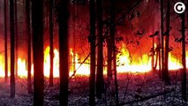Polícia investiga incêndios em áreas de eucalipto e de reserva da Mata Atlântica no ES