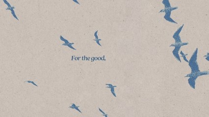 Riley Clemmons - For The Good