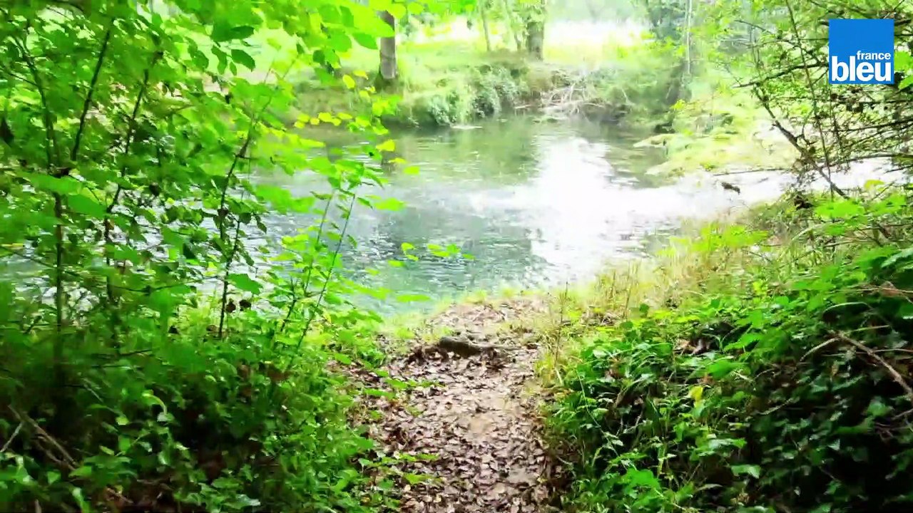 Au fil de l'eau - Le_Ceou à Saint Cybranet