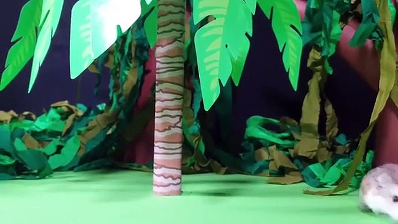 Major hamster vs mummy
