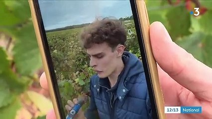 Vin : Émile Coddens, le vigneron star de TikTok