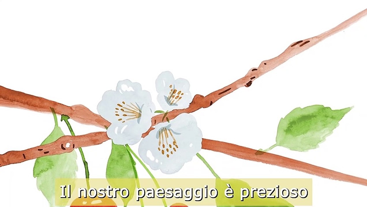 Preservare il nostro suolo