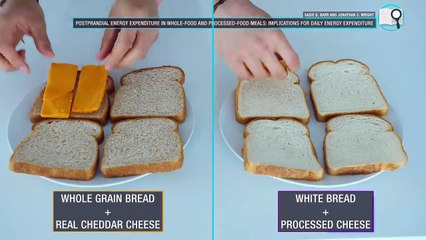 The Best Meal Plan To Lose Fat Faster (EAT LIKE THIS!)