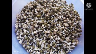 Sprouts biriyani Green mooug dal