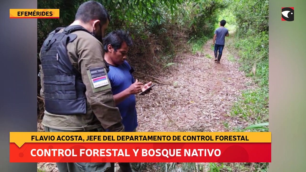 Control forestal y bosque nativo
