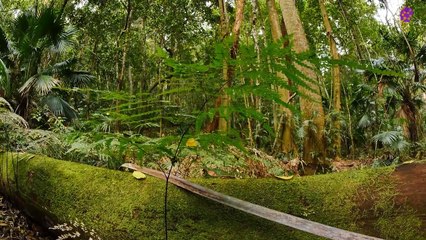 intro-logo-15-min-20210919-134050