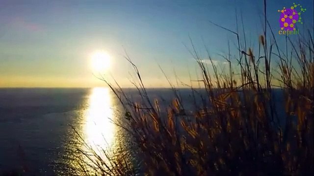 intro-logo-15-min-20210923-211804