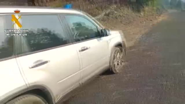 Gallinas, perros y todo tipo de ganado están siendo evacuados por la Guardia Civil en La Palma