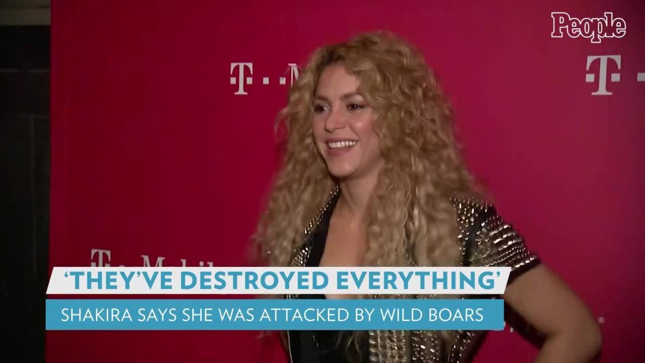 Shakira Says Her Bag Was 'Destroyed' by Wild Boars Who Attacked Her and Son in Barcelona Park