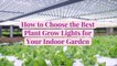 How to Choose the Best Plant Grow Lights for Your Indoor Garden