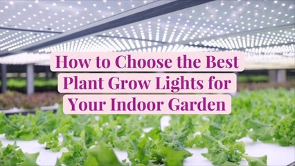 How to Choose the Best Plant Grow Lights for Your Indoor Garden
