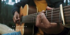 Perfect - Ed Sheeran (Fingerstyle Guitar Cover)