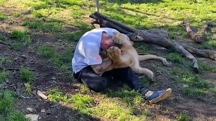 State government extending JobSaver program until end of November