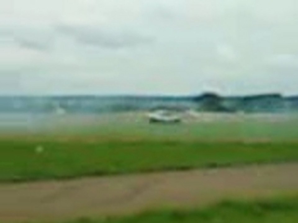 VID010