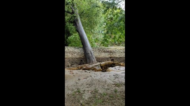 Intempéries dans les Bouches-du-Rhône: l'Huveaune emporte un arbre et un parapet sur ses berges