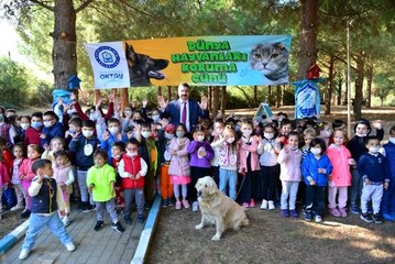 Yıldırım'da sokak hayvanları emin ellerde