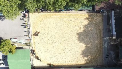 Son dakika haberleri! Polislerden 4 Ekim Dünya Hayvanları Koruma Günü etkinliği