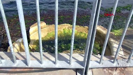 Eminönü İskelesi'nde bulunan tarihi taş inceleniyor