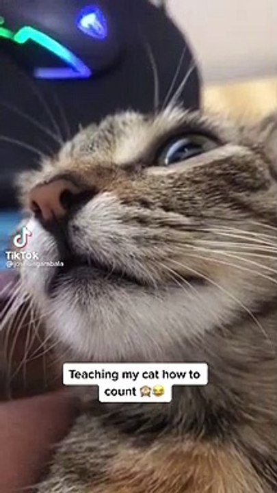 cute