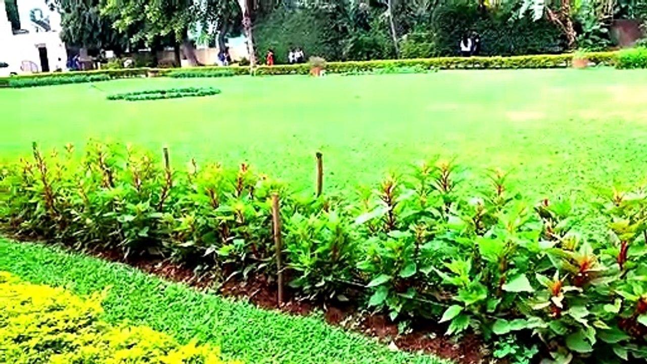 TIPU
