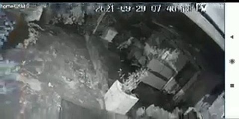 Onça tenta atacar idosa, que utiliza bengala para se salvar; veja vídeo