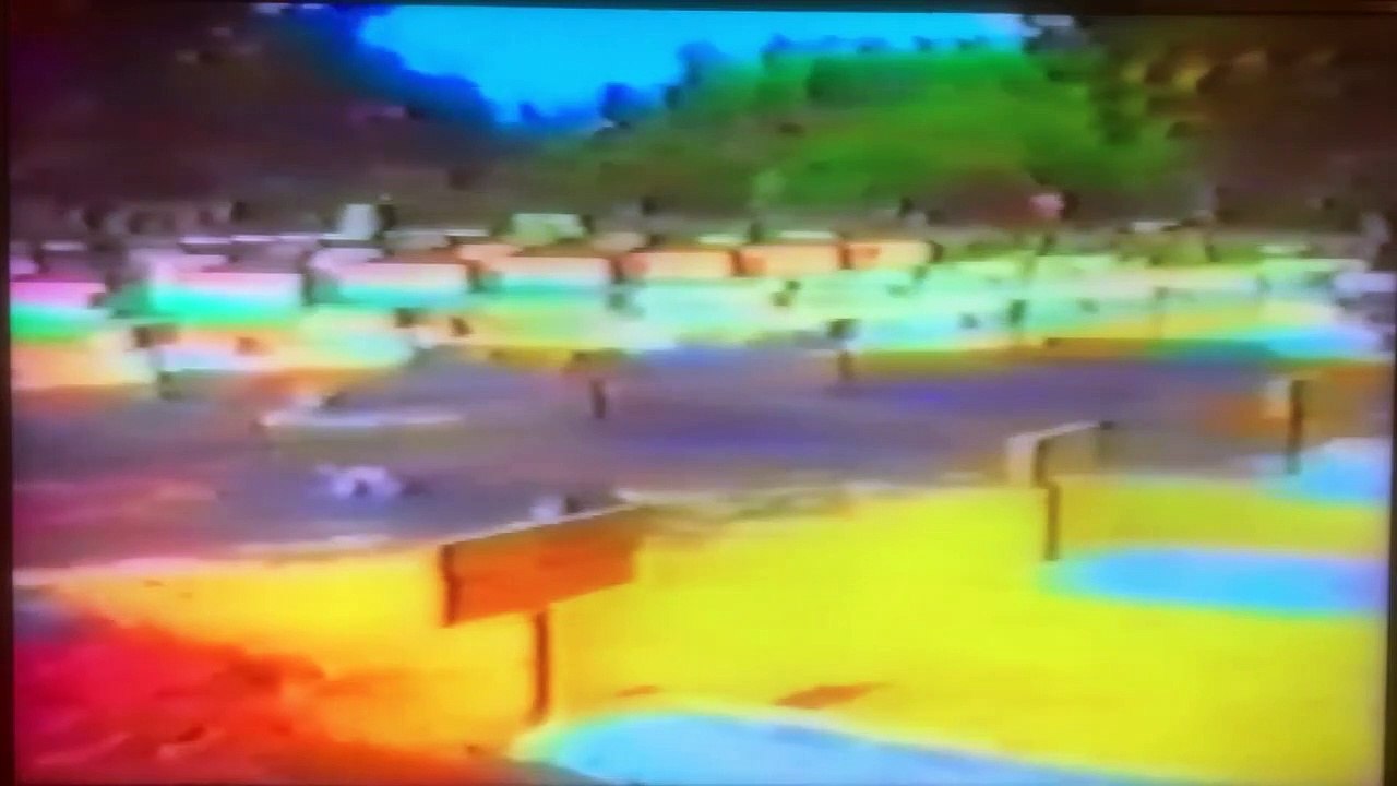 MAAVEERAR NINAIVU
