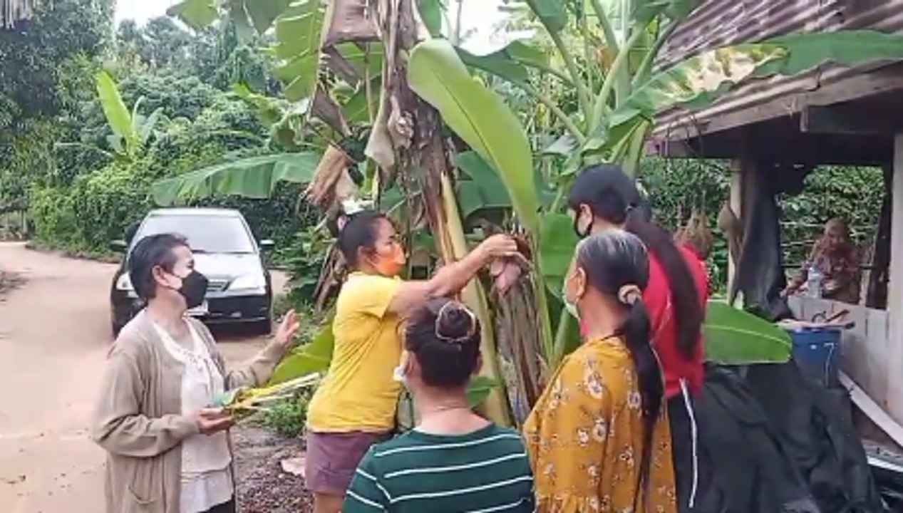 อัพเดท! รวบรวม เลขเด็ด และ เลขดัง หวยงวดนี้ไว้ท...