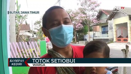 Keindahan Bunga Tabebuya Yang Bermekaran Di Sepanjang Jalan Kota Blitar