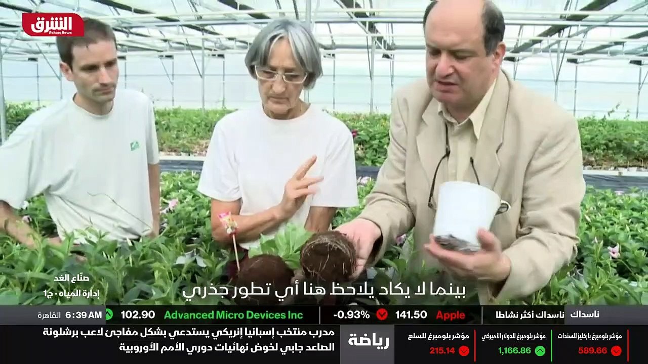 الدماغ الجديد