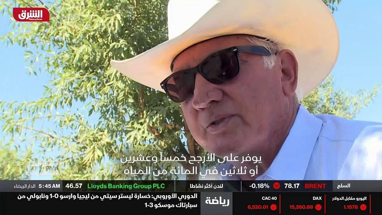 الدماغ الجديد
