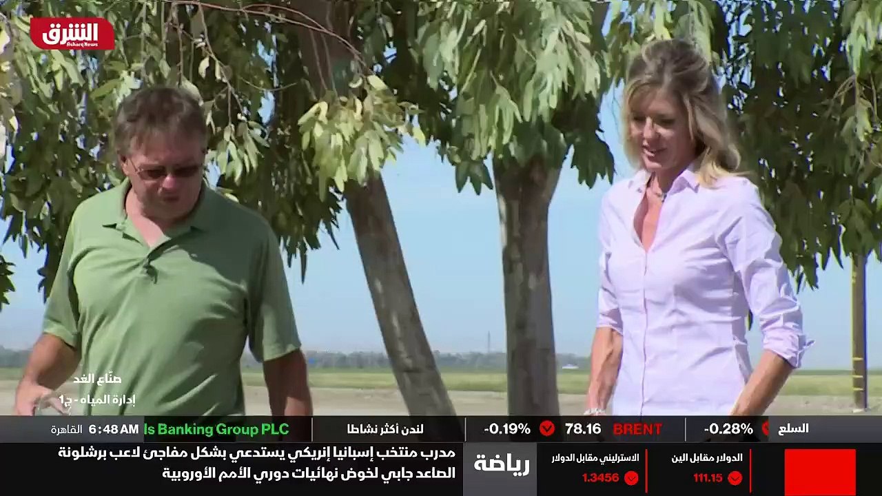 الدماغ الجديد