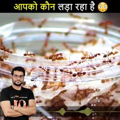 #आपको कौन लड़ा रहा है