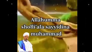 Sholawat pohon uang#Habib Saggaf bin Mahdi BSA