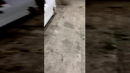 Tiny Car Cruising Around Chicago