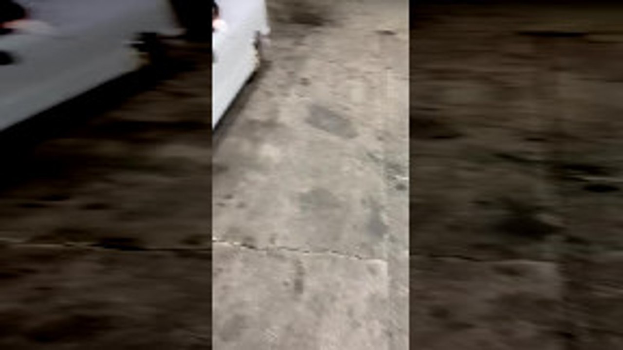Tiny Car Cruising Around Chicago