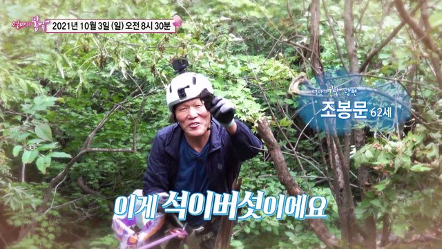 지리산 선녀와 약초꾼_엄마의 봄날 316회 예고 TV CHOSUN 211003 방송