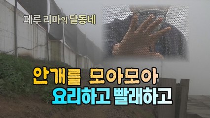 [세상만사] 사막에 세워진 도시 페루 수도 리마 달동네의 안개 그물 / YTN