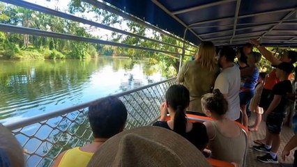 ABC News drone snatched out of mid-air by crocodile