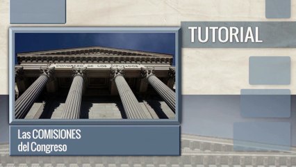 Las Comisiones del Congreso