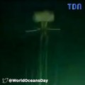 Cet animal marin flippant est un véritable alien des profondeurs océaniques