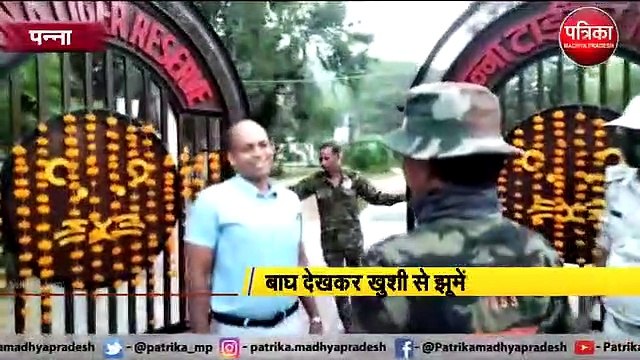 पन्ना टाइगर रिजर्व के खुले गेट