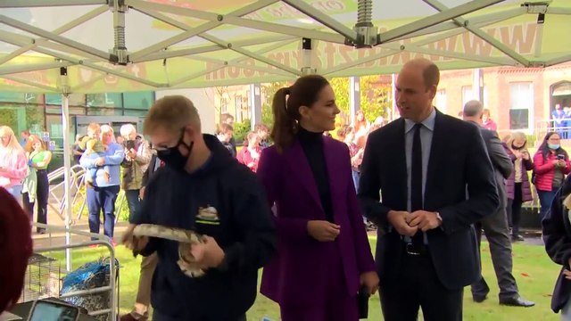 Kraliyet ailesi korkusuz çıktı! Prens William piton yılanı eline aldı