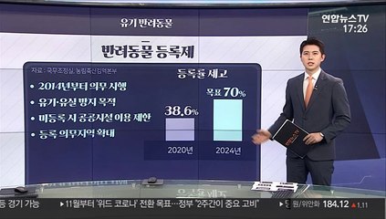 [그래픽뉴스] 유기 반려동물