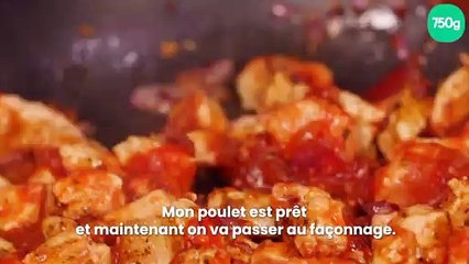 Quesadillas au poulet et son guacamole