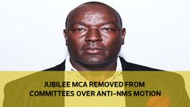 Jubilee MCA removed from committees over anti-NMS motion