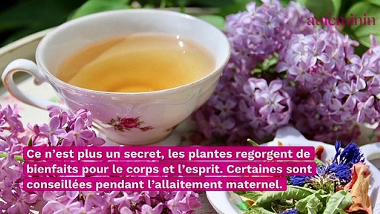 Tisane allaitement : est-ce que ça marche vraiment ?