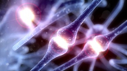 La commotion cérébrale