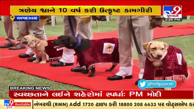 Retirement ceremony of 3 CISF sniffer dogs serving at Ahmedabad Airport held today _ TV9News