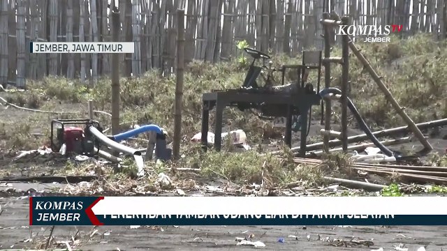Tambak Udang Liar di Pantai Selatan Ditertibkan, Karena Merusak Lingkungan