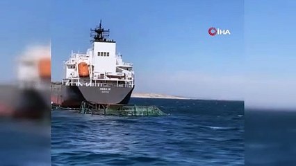 Yük gemisi balık havuzuna girdi, bir milyon balık denize kaçtı
